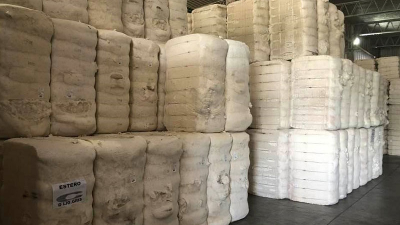 En 2023, el Chaco exportó el menor volumen de los últimos ocho años