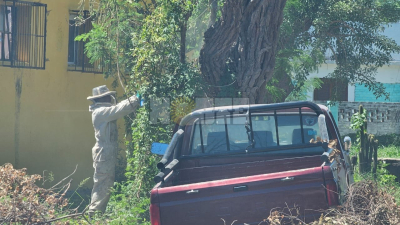 Villa Ángela: el ciclista involucrado en siniestro no murió por ataque de abejas