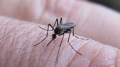 El Gobierno reúne a los ministros de Salud de todas las provincias en plena crisis sanitaria por dengue