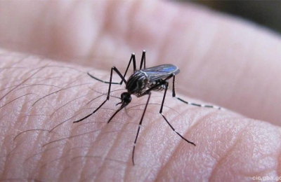 En casos graves, el dengue puede afectar también al corazón
