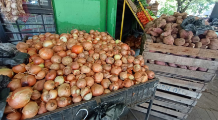 cebolla.jpg