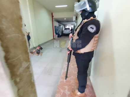 cesa3.jpg