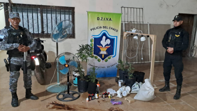La Policía incautó varias plantas de marihuana en una vivienda "abandonada"