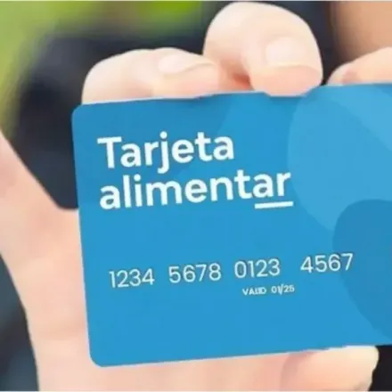 alimentar1593_sq.jpg