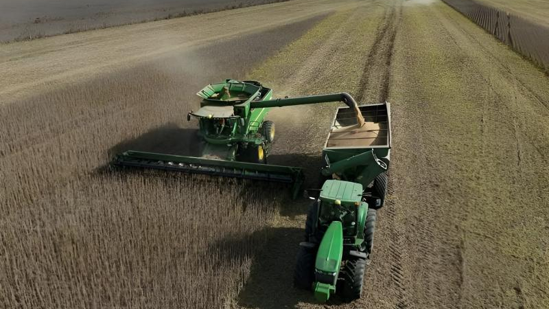 Argentina: único líder del agro cuyas exportaciones descienden