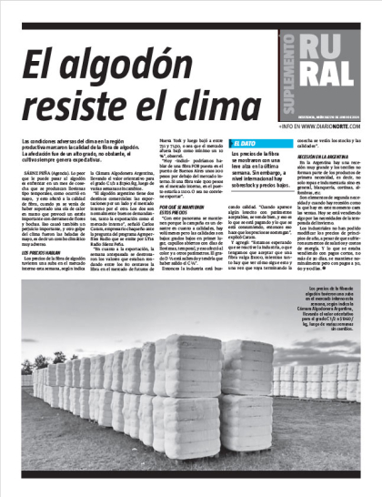 El algodón resiste el clima
