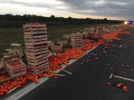 mandarina.jpg