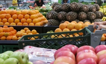 alimentos.jpeg
