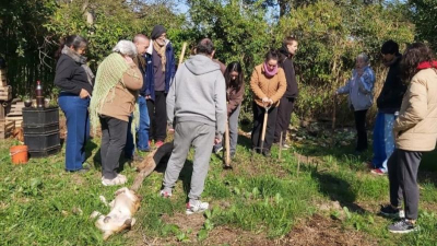 Crece la práctica del compostaje y la separación de residuos verdes