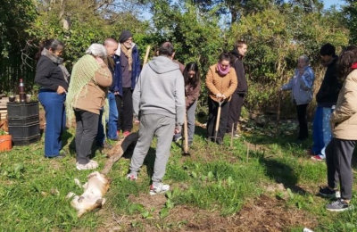 Crece la práctica del compostaje y la separación de residuos verdes
