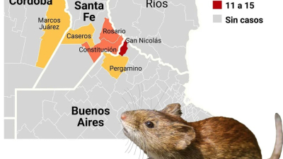 Aumentan casos de fiebre hemorrágica argentina