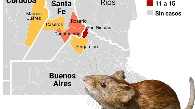 Aumentan casos de fiebre hemorrágica argentina