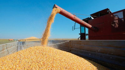 Traccionadas por los productos primarios, las exportaciones crecieron un 65,1%