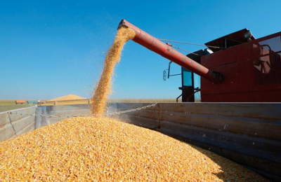 Traccionadas por los productos primarios, las exportaciones crecieron un 65,1%