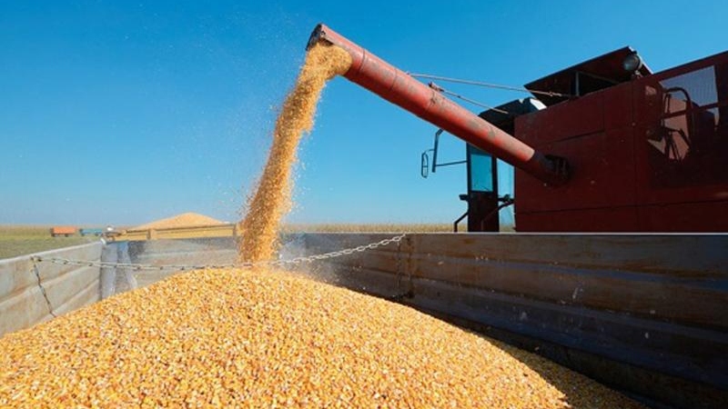 Traccionadas por los productos primarios, las exportaciones crecieron un 65,1%