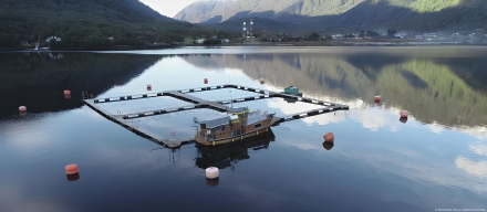 salmoneras 1.jpg