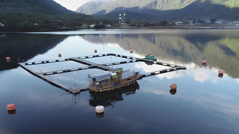 Quieren permitir las salmoneras en Tierra del Fuego y se reabre la polémica