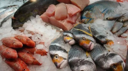 Pescadod.JPG