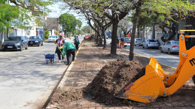 Mantenimiento integral en avenidas de Resistencia