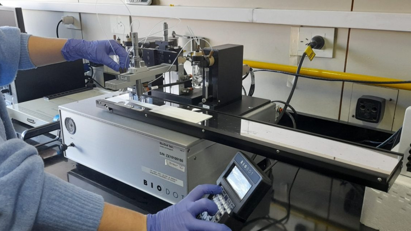 Crean plataforma para desarrollar test rápidos de diagnóstico para afrontar la falta de insumos ante crisis sanitarias