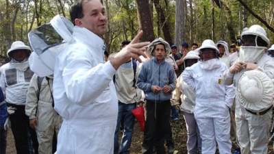 Hay mejores perspectivas para la producción de miel orgánica