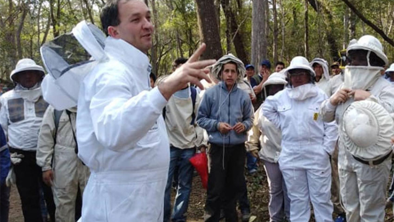 Hay mejores perspectivas para la producción de miel orgánica