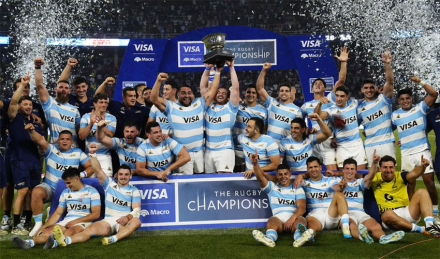 pumas.jpg