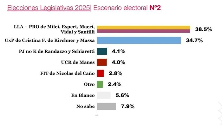 encuestas4.jpg