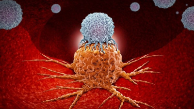 Cáncer: se abre la puerta a nuevas terapias