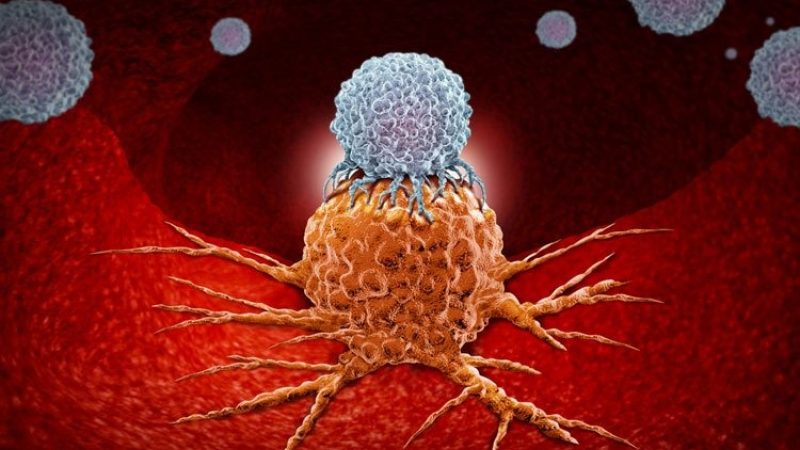 Cáncer: se abre la puerta a nuevas terapias