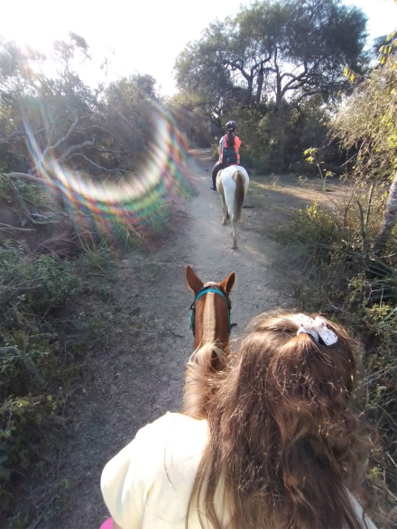 cabalgata.jpg