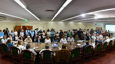 El Consejo Superior de la UNNE sostiene el reclamo presupuestario para las universidades
