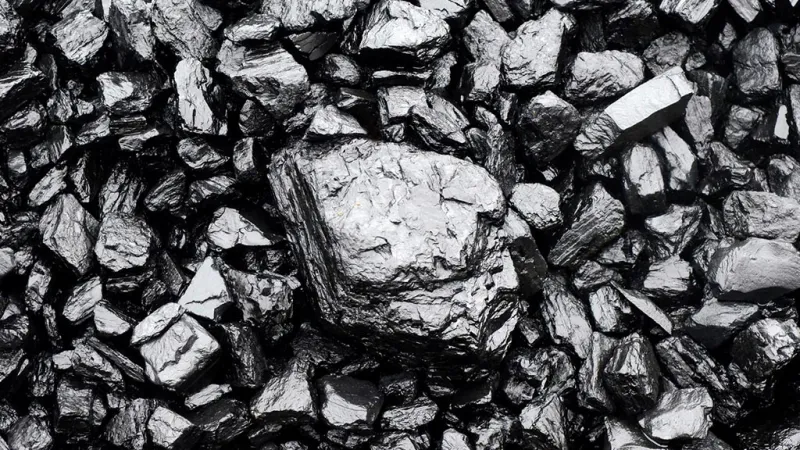 Desde el Congreso proponen un marco legal para el mercado de carbono
