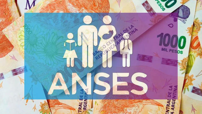 anses.jpg