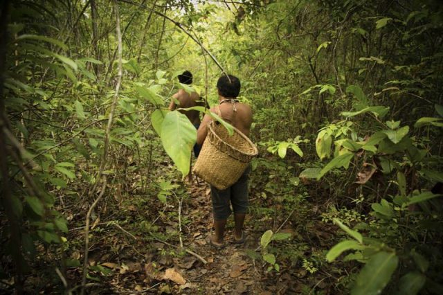indigena ambiente monte.jpg
