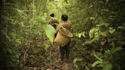 Pueblos indígenas y biodiversidad