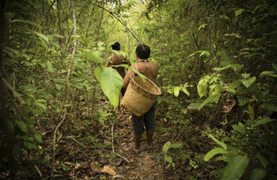 Pueblos indígenas y biodiversidad