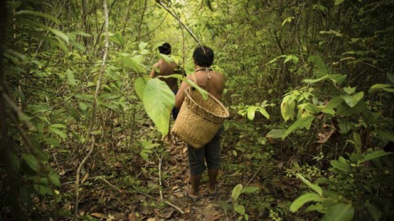 Pueblos indígenas y biodiversidad