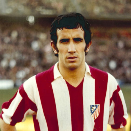 galleso.jpg