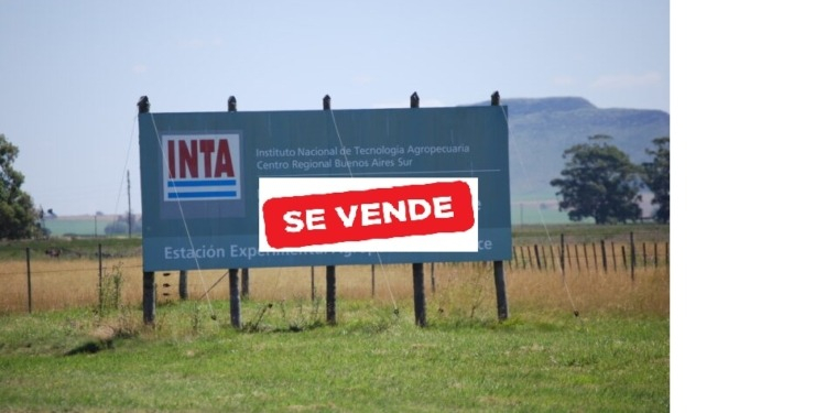 inta2.jpg