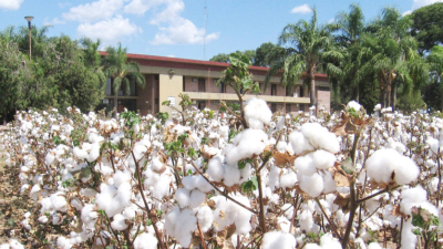 Agrónomos alertan sobre los daños a la producción si desmantelan el INTA