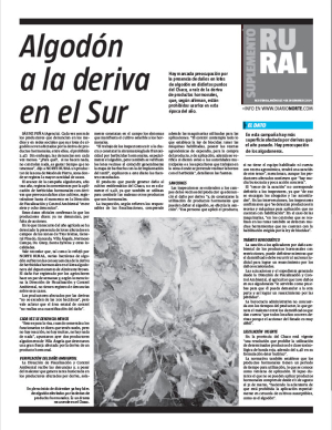 Algodón a la deriva en el Sur