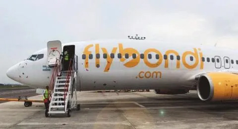fly.jpg