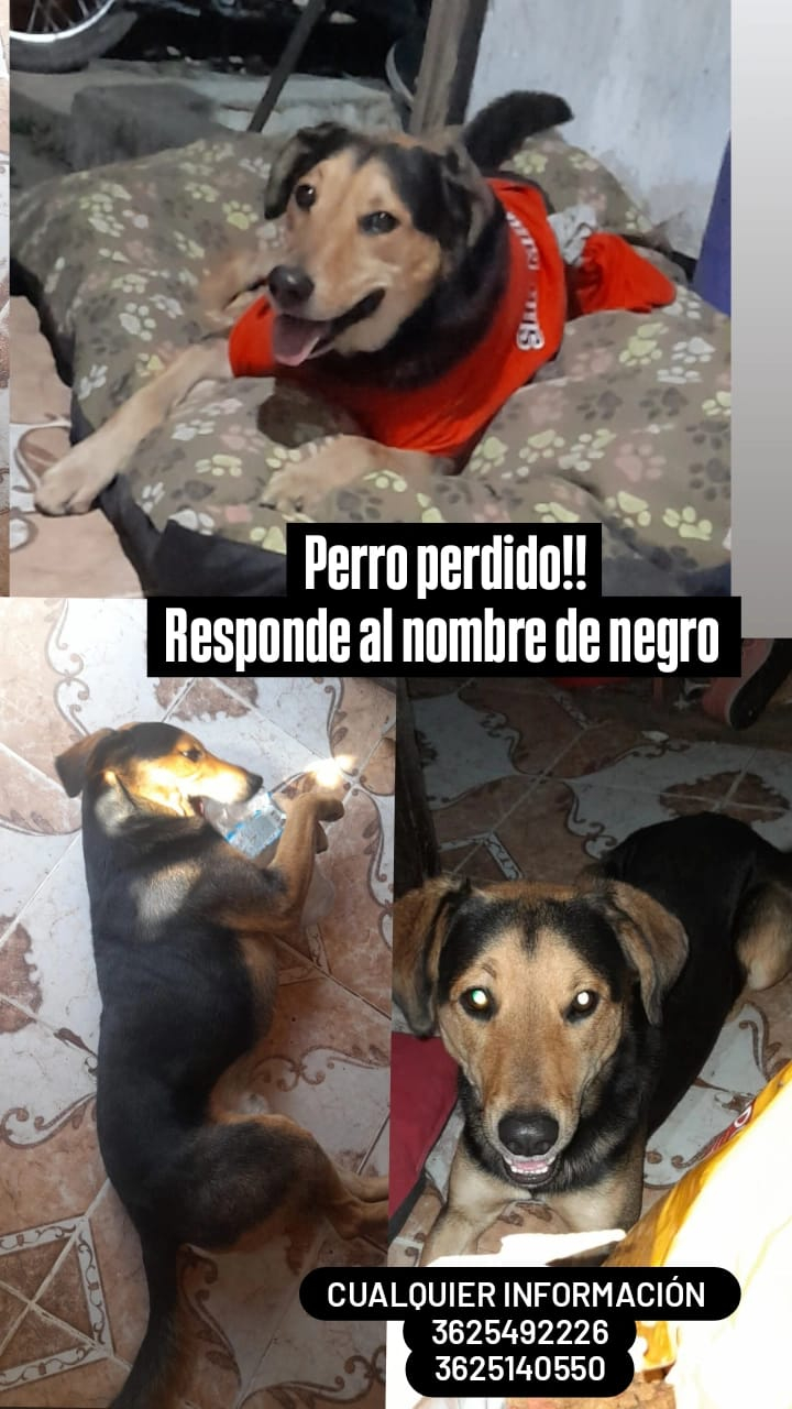 WhatsApp Image 2024-12-26 at 09.22.44.jpeg
