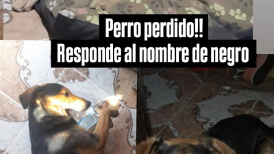 Piden ayuda para encontrar a "Negro"