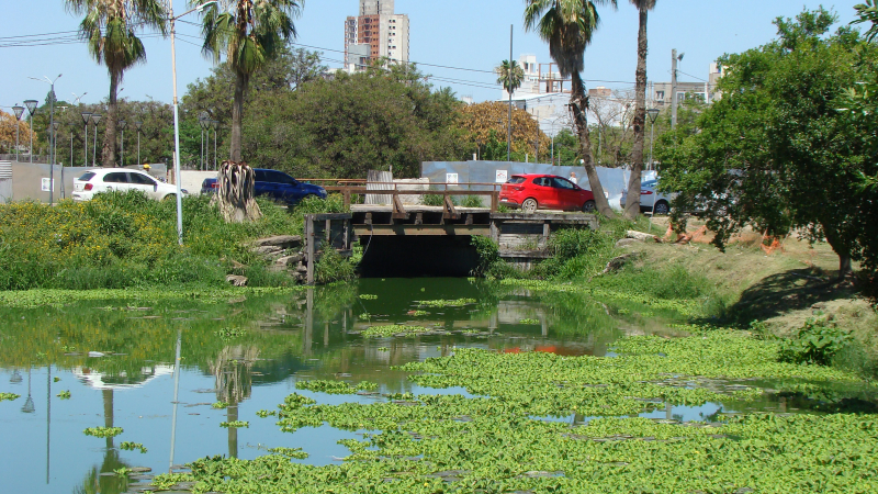El 2024 culminará con calor intenso y el 2025 comenzará inestable
