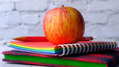 Una provincia argentina repartió 2,5 millones de manzanas a alumnos