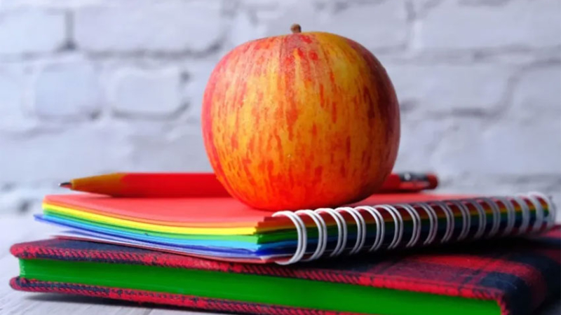 Una provincia argentina repartió 2,5 millones de manzanas a alumnos