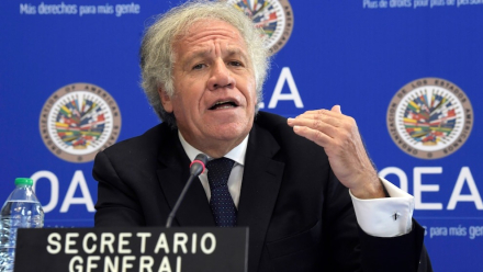 almagro oea.jpg