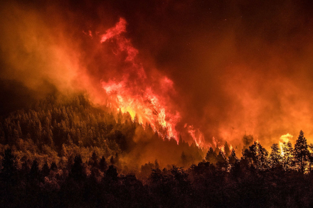 nahuel huapi2.jpg